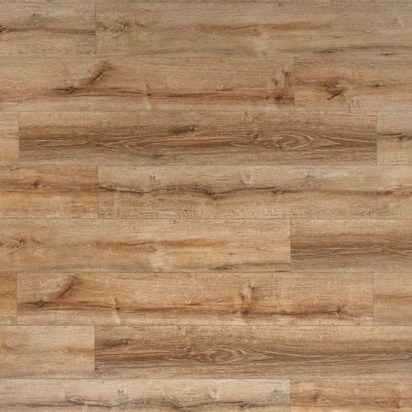 Rovere Classico, codice BLLI-2701