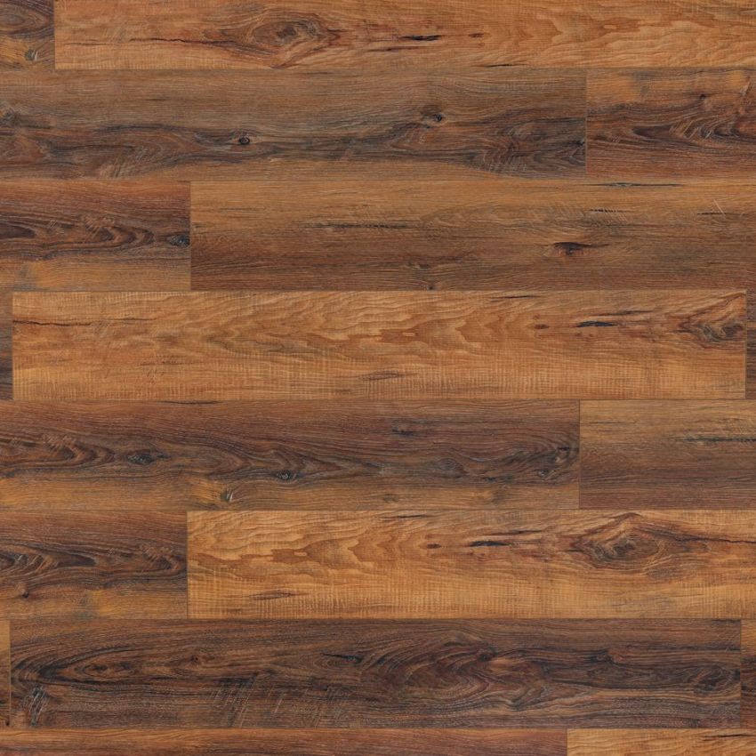 Rovere Multicolore, codice BLLI-2703