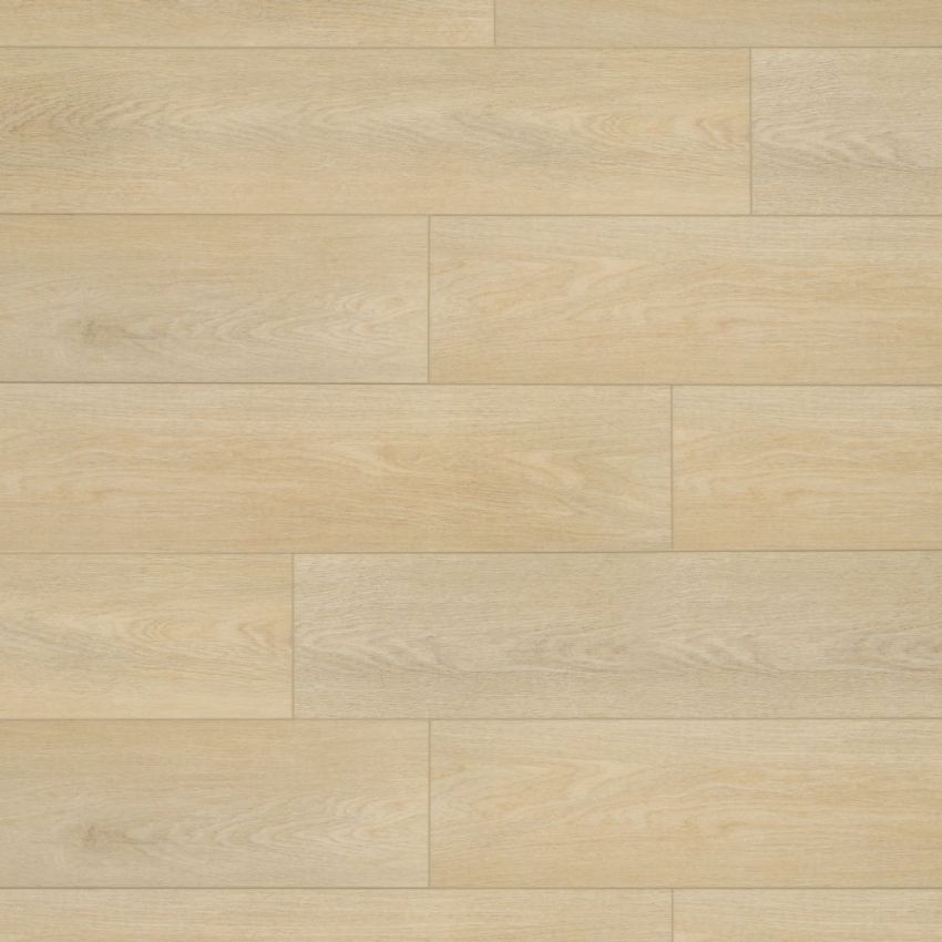 Rovere Verona, codice BLLI-2714E