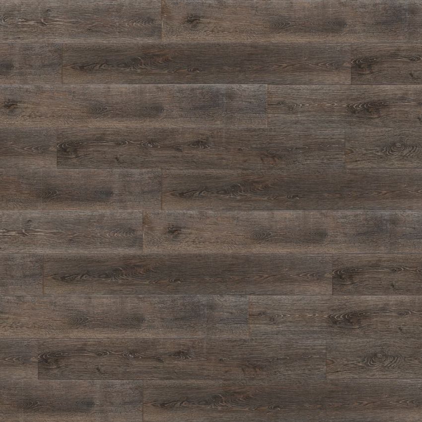 Rovere Tudor, codice BLAD-3305