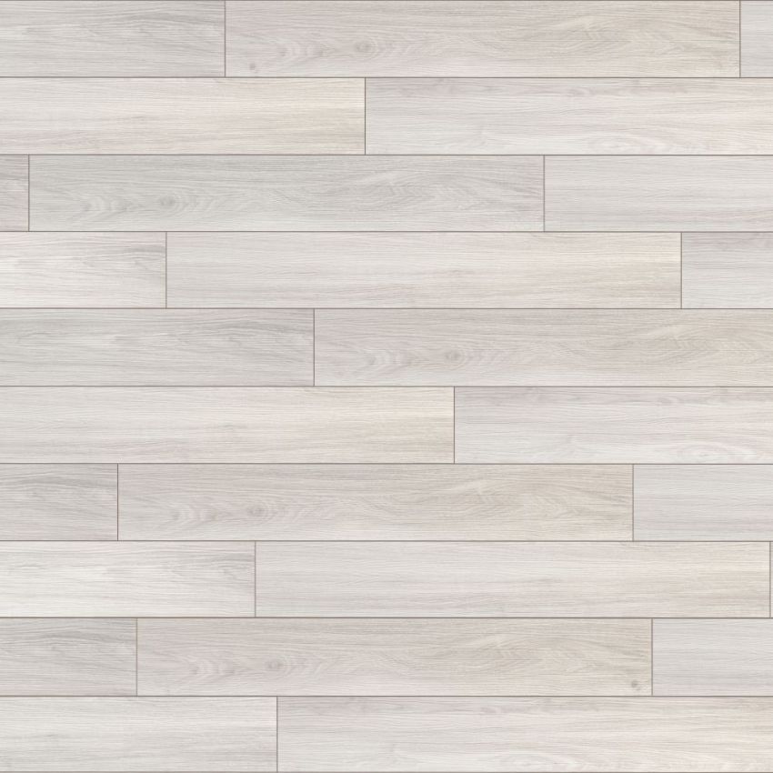 Rovere Norvegese, codice BLAD-3304