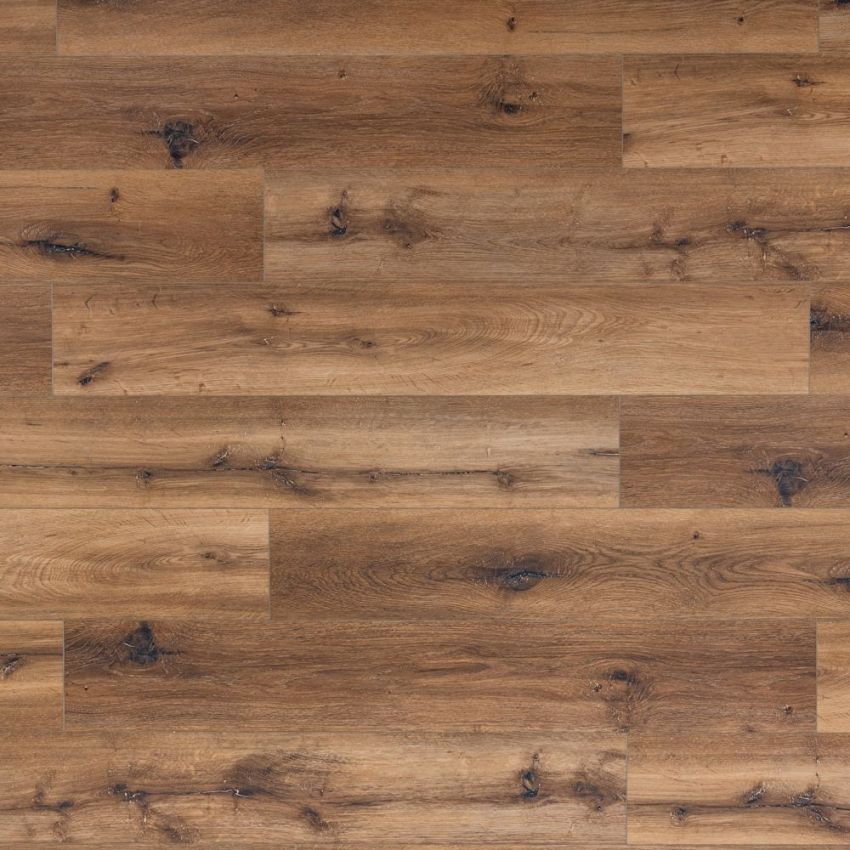 Rovere Nobile, codice BLLI-2707
